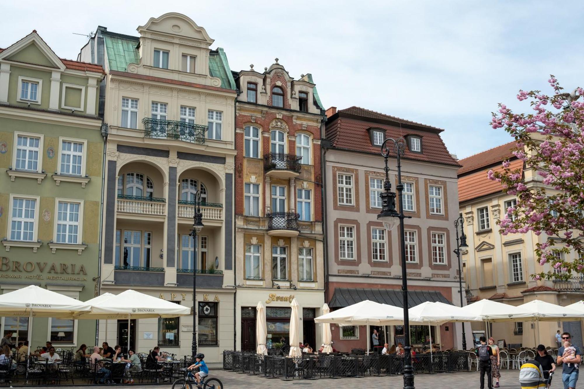 Apartamenty Drevny Kocur Poznan Luaran gambar